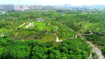 香港内部公开资料最准确的是什么